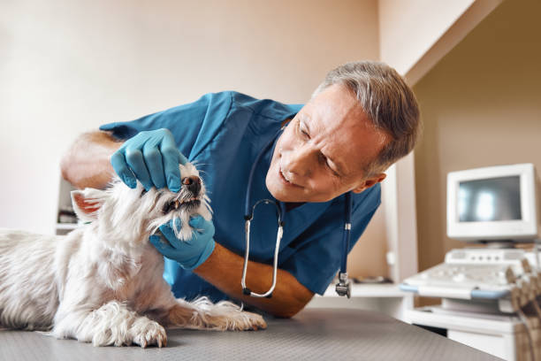 Best Emergency Denture Repair in Bal Harbour, FL